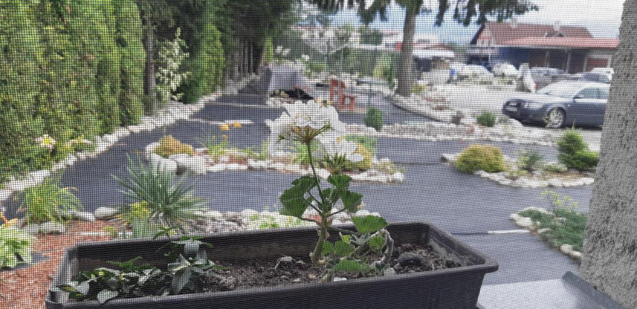 Apartman Yvet Sucany 외부 사진